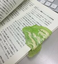本の上にドレッシング付きレタスがべったり？　ドキッとする正体に「これはまた絶妙」