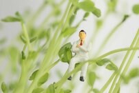 債券型投資信託の注意点―毎月分配型を見極めるポイント PR