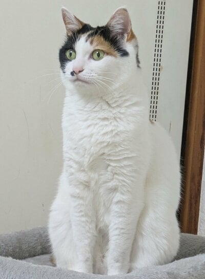 ママを見る目