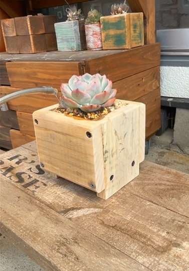 投稿動画のワンシーン