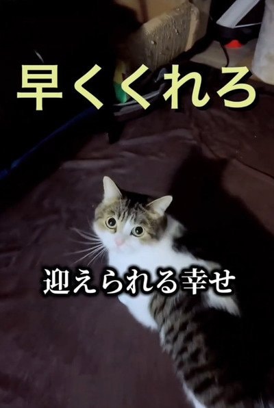 投稿の画像