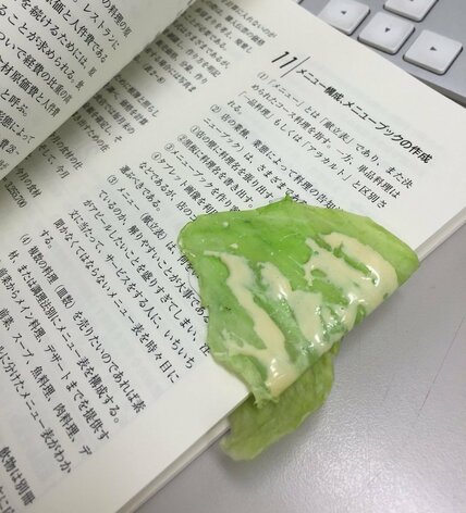 本の上にドレッシング付きレタスがべったり？　ドキッとする正体に「これはまた絶妙」