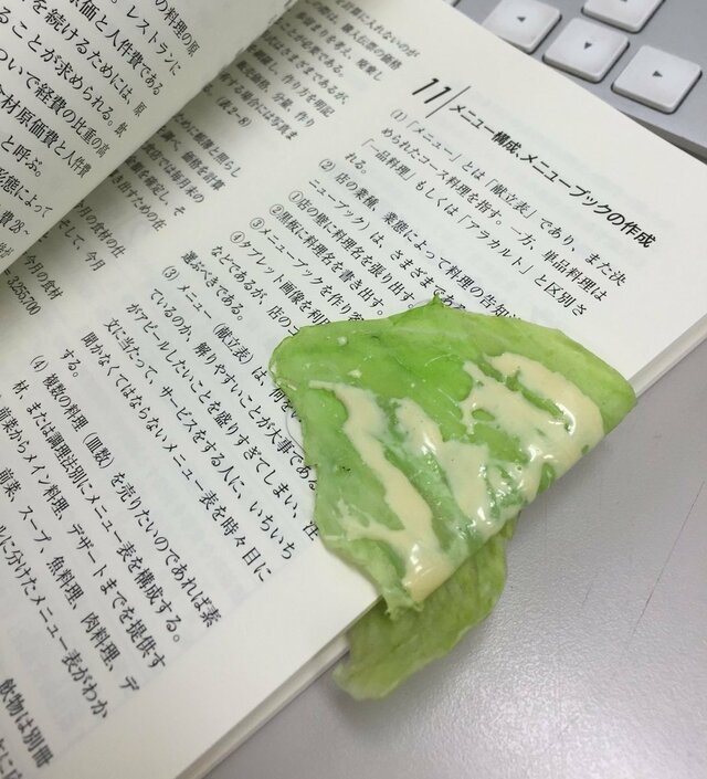 本の上にドレッシング付きレタスがべったり？　ドキッとする正体に「これはまた絶妙」