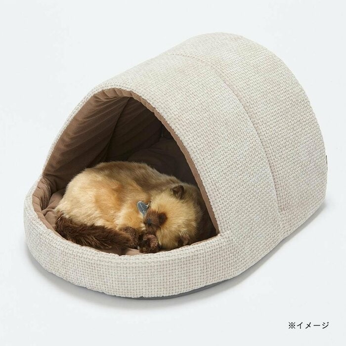 猫ちゃんが外敵から身を守るための本能的な行動を満たしてくれます