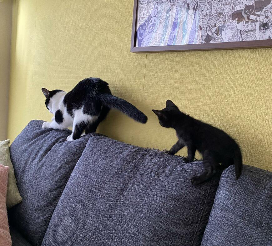 出所：@00shitemita