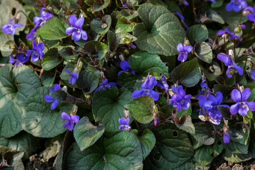 Meindert van der Haven/istockphoto.com