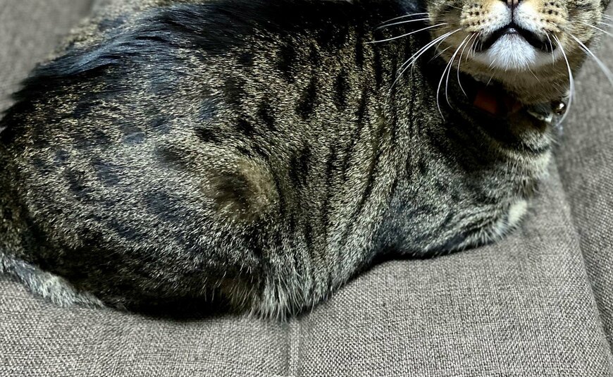 出所：@luna7taka9