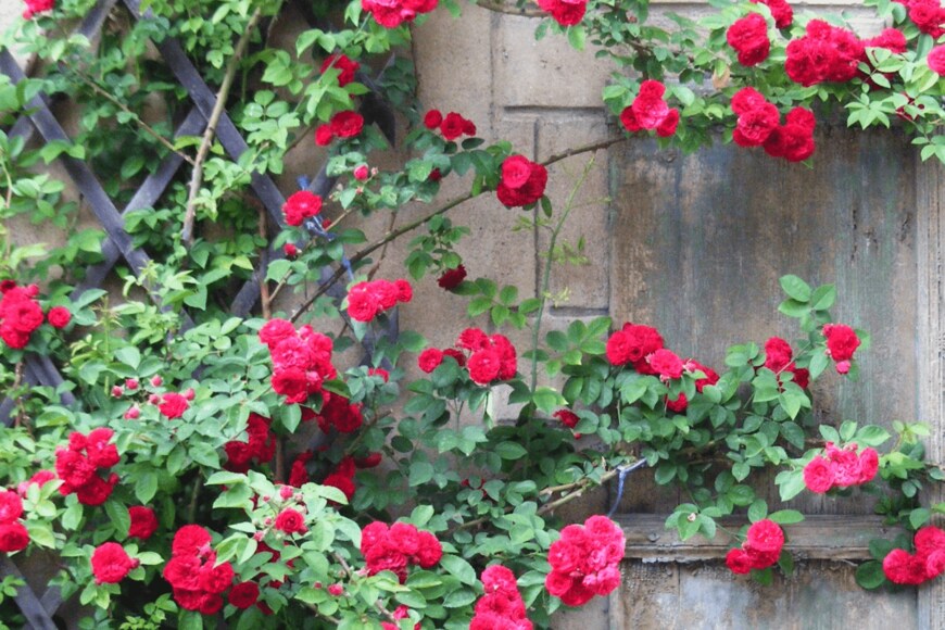 Malergraubart/istockphoto.com