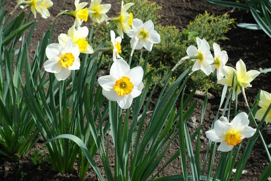 apugach/istockphoto.com