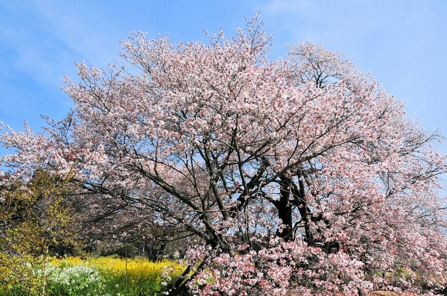 Goryu/istockphoto.com