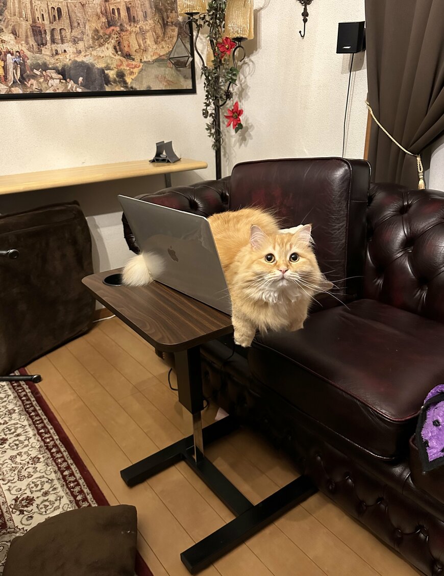 出所：@NEKOLAND13