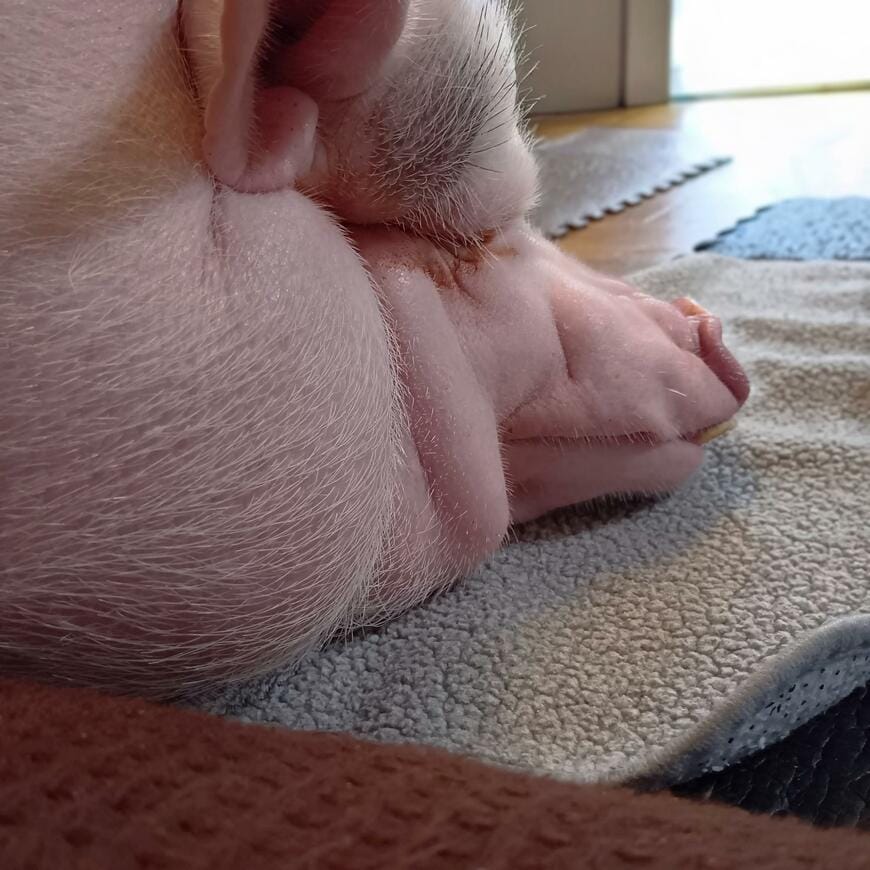 出所：@1112ancomain151