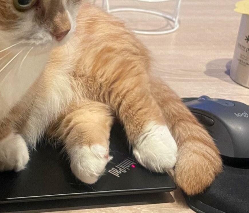 出所：@kotaro_0315