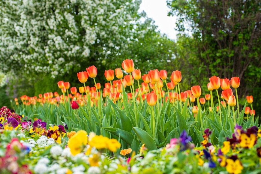 Iana Pronicheva/istockphoto.com