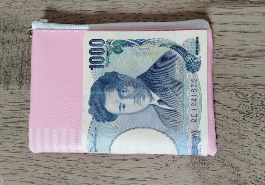 筆者撮影（セリア、mofusand コインパース）