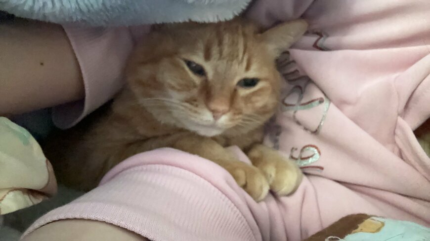 出所：@kagisuzu0531