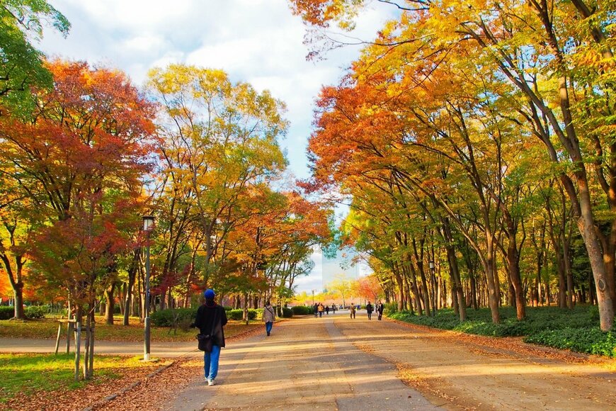 【2024年秋】大阪の定番紅葉スポット5選！公園からお寺まで紅葉の見どころ情報を紹介