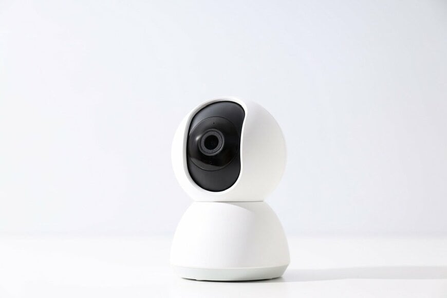 【4万いいね】猫の見守りカメラを見ると　「ナイトクラブすぎる光景」に笑ってしまう