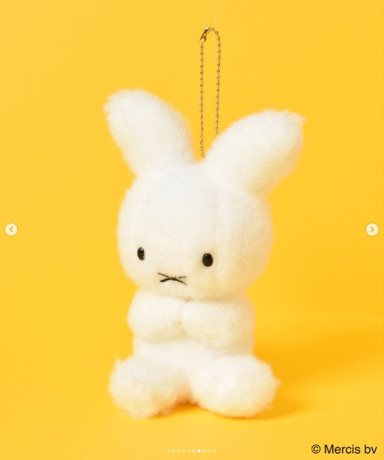 出所：ブルーブルーエ公式Instagram