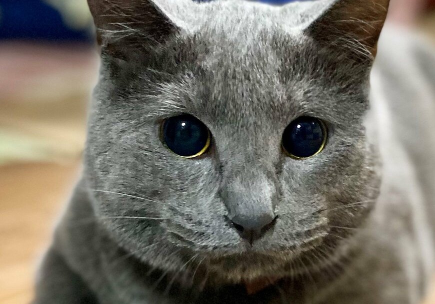 出所：@luna7taka9