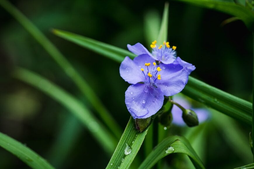 Andrew Pustiakin/Shutterestock.com