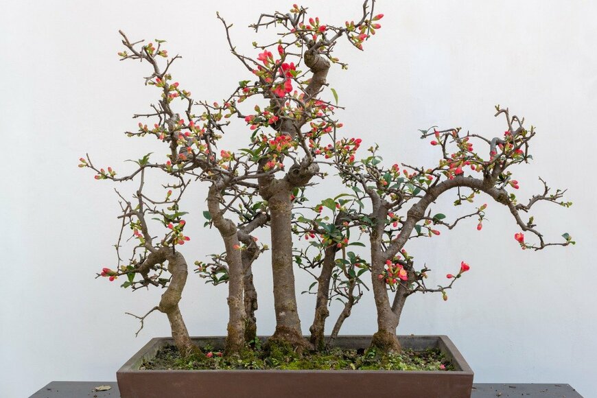 plej92/istockphoto.com