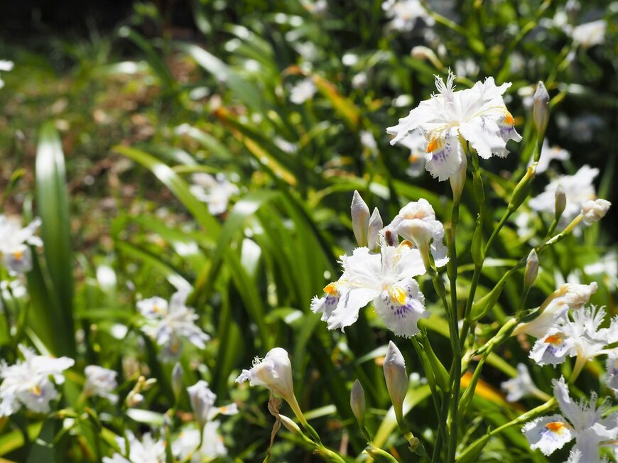 poteco/istockphoto.com