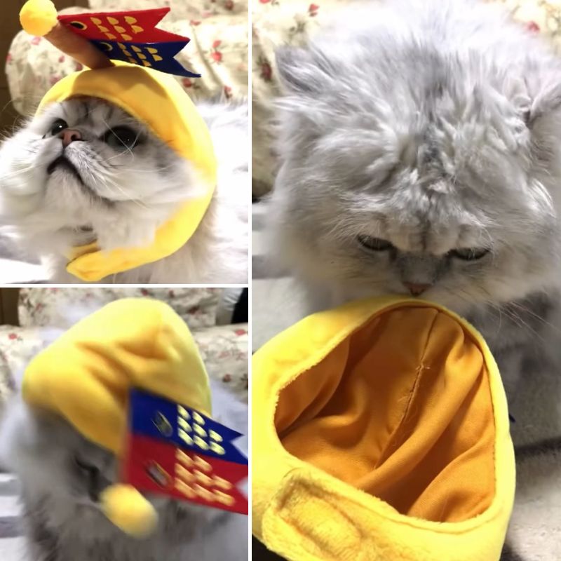 出所：@cr8673.hiro