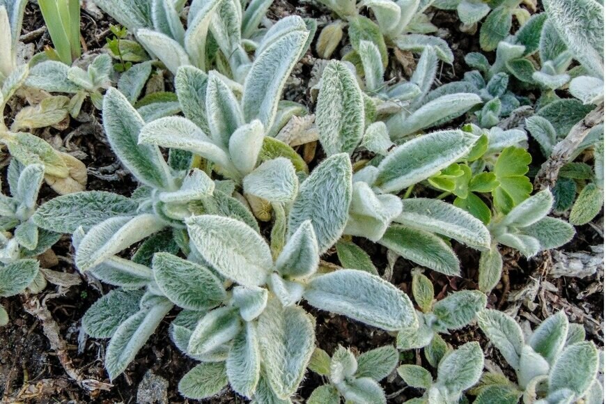 Herman Vlad/istockphoto.com