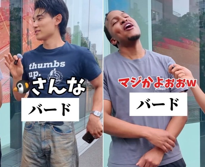 投稿動画のワンシーン