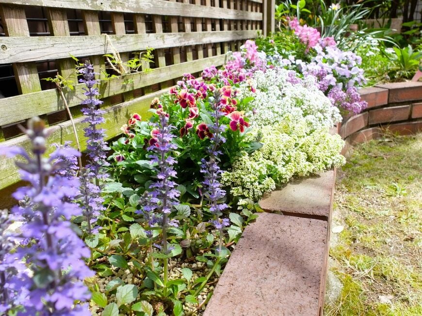 福岡県のUさんの庭の花壇の写真