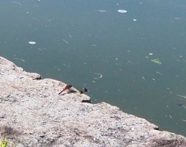 女子大学で撮影された1枚