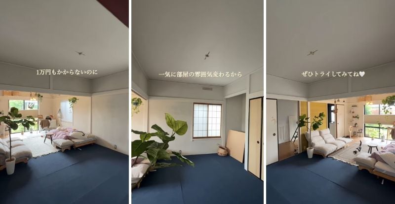 投稿の画像