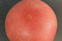 【困惑】まるで「叙述トリック」　おいしそうなトマトを使った「予想外」の料理に思わず目を疑う