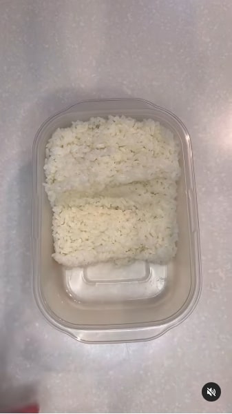 ちょっと変わった形にご飯を整えてお弁当作りがスタート
