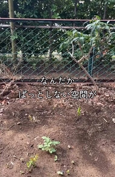 変身前のぱっとしないという空間