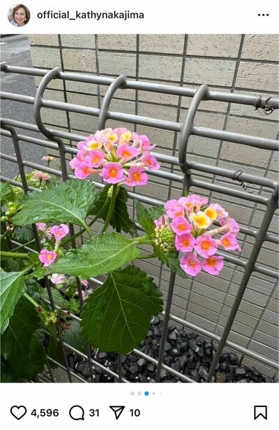 キャシー中島のInstagram投稿