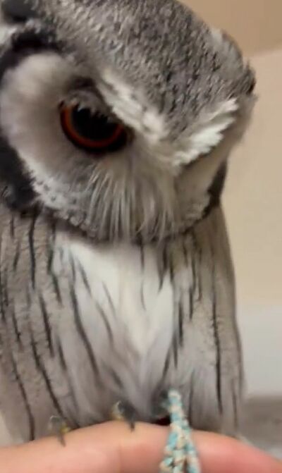 投稿動画のワンシーン