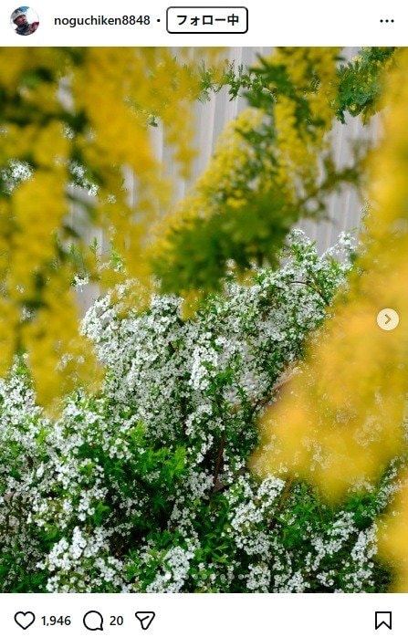 出所：野口健のInstagram（＠noguchiken8848） 参照日：2026年3月19日