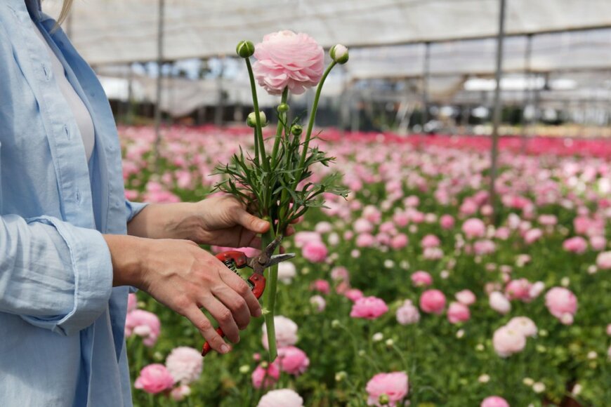 evrymmnt/shutterstock.com