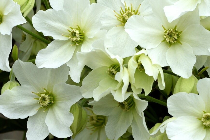 Mike Russell/shutterstock.com