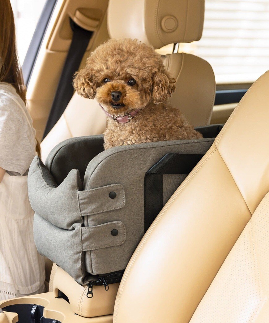 出所：3COINS公式　ドライブベッド