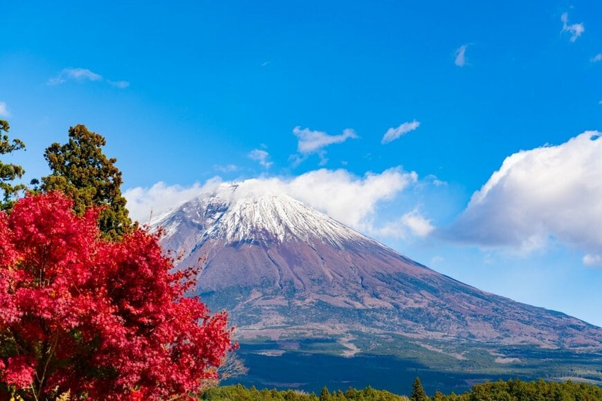 Princess_Anmitsu/shutterstock.com