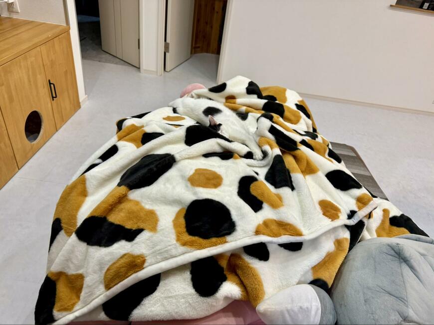 出所：@omochi_nam01