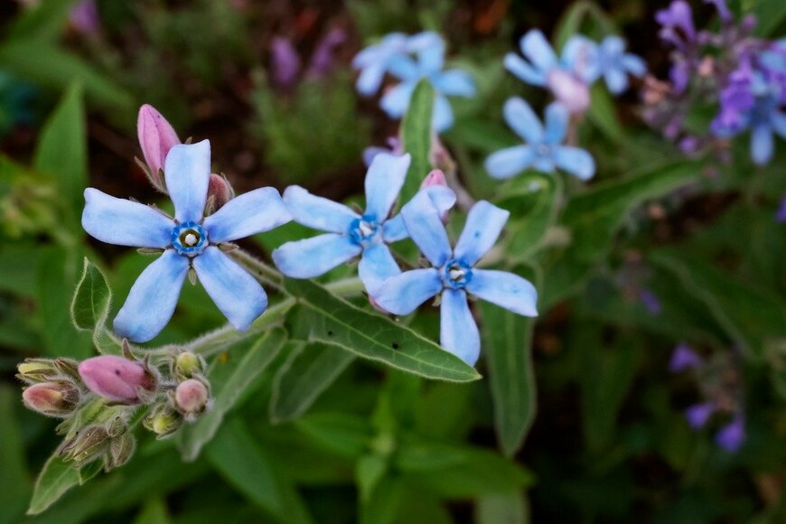 naotoshinkai/istockphoto.com