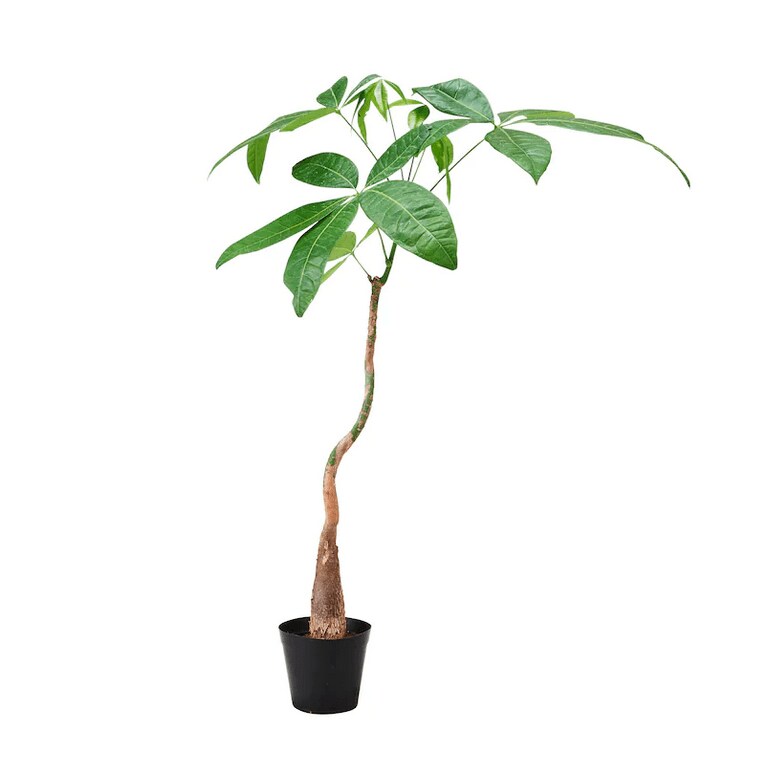 画像出典：イケア公式