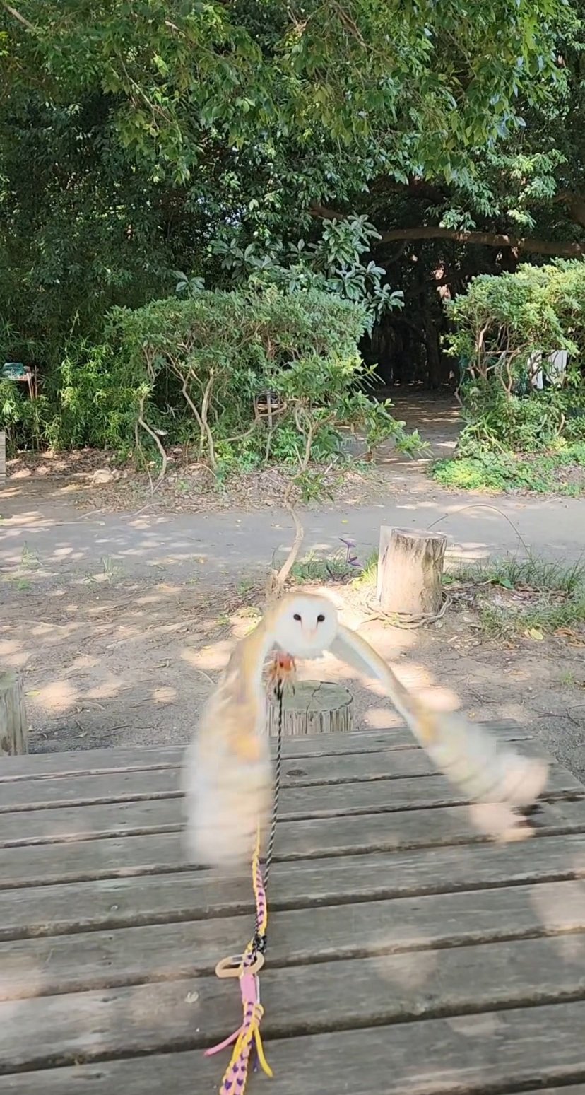 出所：@miki4wan108