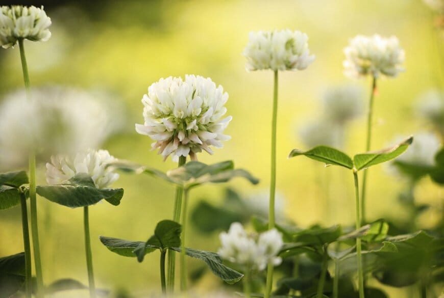 aykfree/shutterstock.com