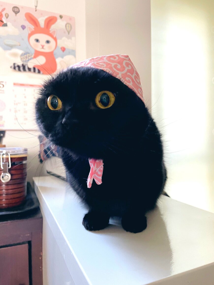 出所：@jacaranda0116