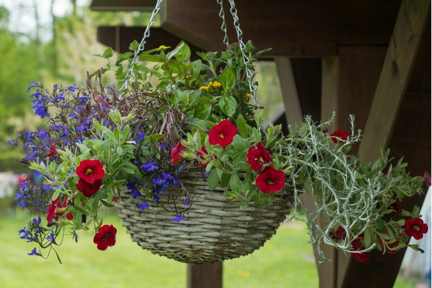 Kristyna Sindelkova/istockphoto.com